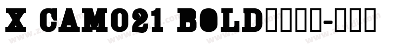 X CAM021 Bold字体下载字体转换